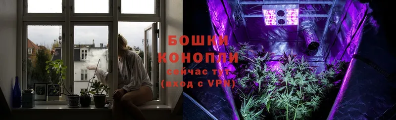 Где продают наркотики Надым Экстази  Cocaine  Меф  Бошки Шишки  ГАШ  Alpha-PVP 